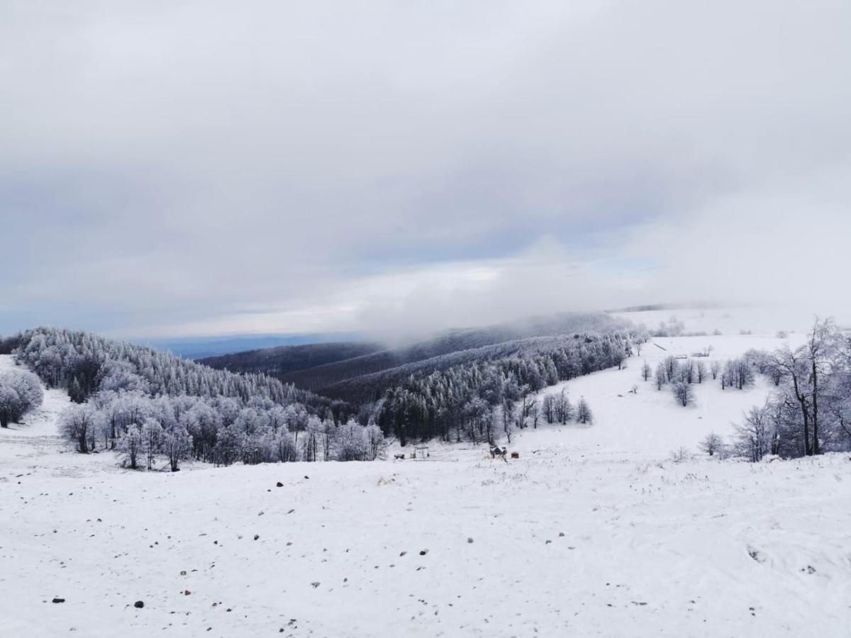 Franzdorf Alpin Ξενοδοχείο Văliug Εξωτερικό φωτογραφία